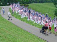 Healing Field