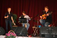 Erica Leigh, Martin Young, Mike Lewis in Concert
