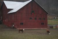 Christmas Barn