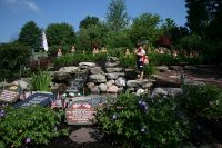 Dreaming