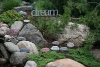 Dream