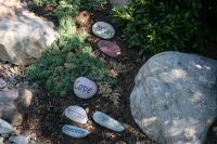 Bernie, The man I never met, suggested these rocks