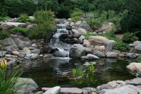 The Waterfall in the Garden of Life