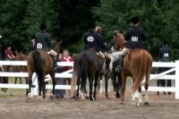 Horses out
