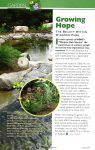 Happenings Article