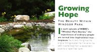 Windsor Park Stories