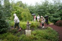 Garden in the Rain