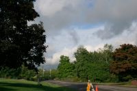 Windsor Park After the Rain