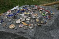 Pins